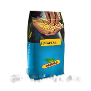 Насіння кукурудзи ДКС 4178 (ФАО 330) Bayer Dekalb — кукурудза