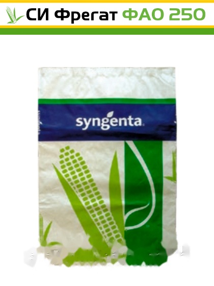 Насіння кукурудзи СИ Фрегат (ФАО 250) Syngenta — кукурудза