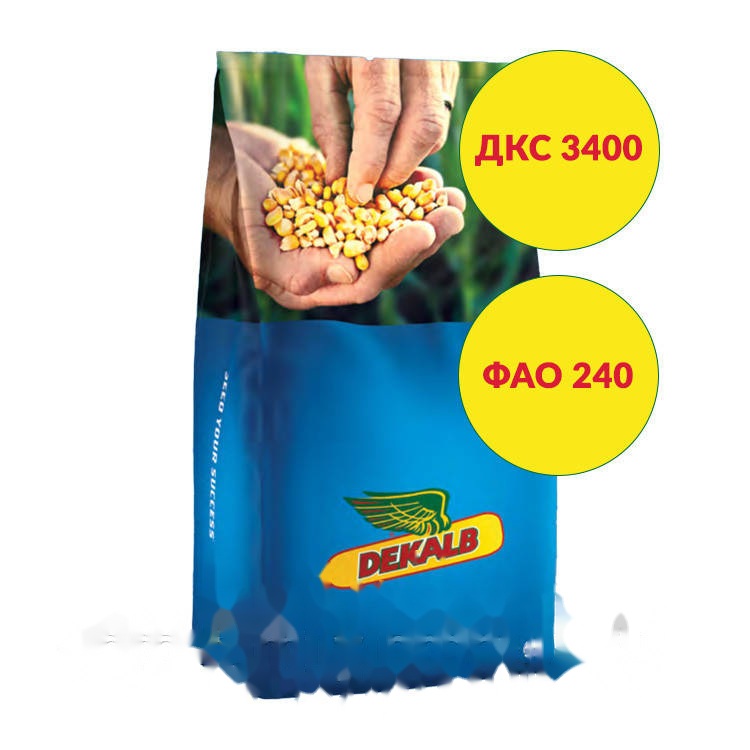 Насіння кукурудзи ДКС 3400 (ФАО 240) Bayer Dekalb — кукурудза