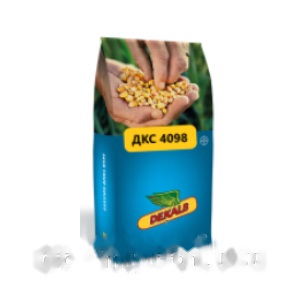 Насіння кукурудзи ДКС 4098 (ФАО 310) Bayer Dekalb — кукурудза