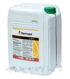 Гербіцид Каптора 20 л (імазамокс + імазапір) — Syngenta — гербіциди
