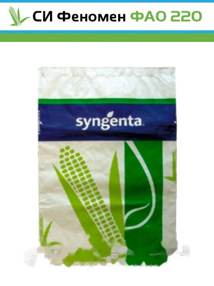 Насіння кукурудзи СИ Феномен (ФАО 220) Syngenta — кукурудза