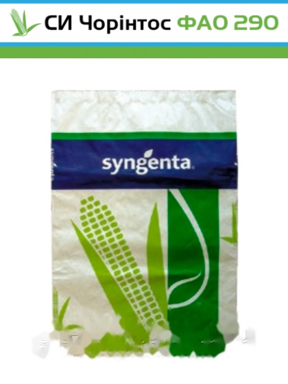 Насіння кукурудзи СИ Чорінтос (ФАО 290) Syngenta — кукурудза