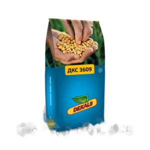 Насіння кукурудзи ДКС 3609 (ФАО 260) Bayer Dekalb — кукурудза