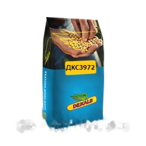 Насіння кукурудзи ДКС 3972 (ФАО 300) Bayer Dekalb — кукурудза